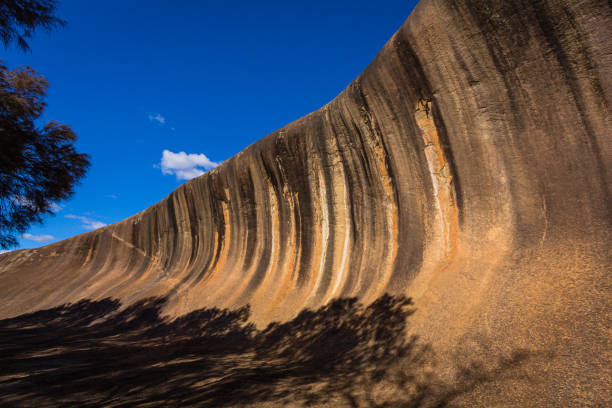 istock Wave Rock in Western Australia, Australia 1490915451