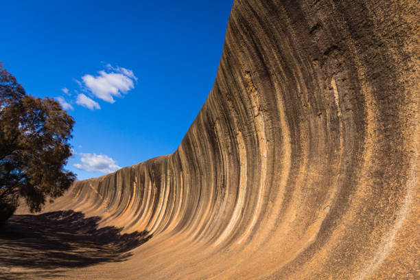 istock Wave Rock in Western Australia, Australia 1490915514