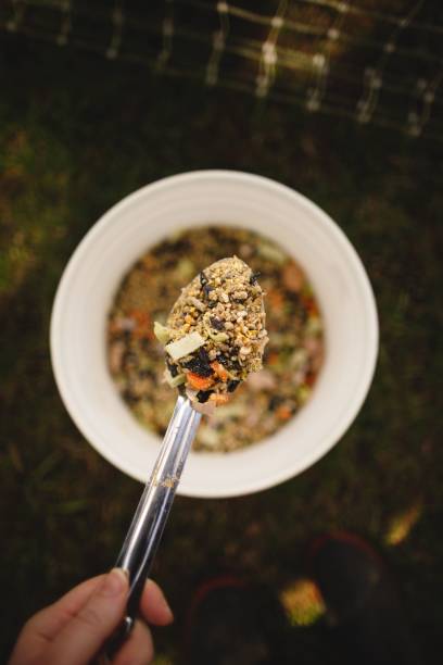 istock Person holding a spoon filled with poultry feed in a rustic outdoor setting 1490915990