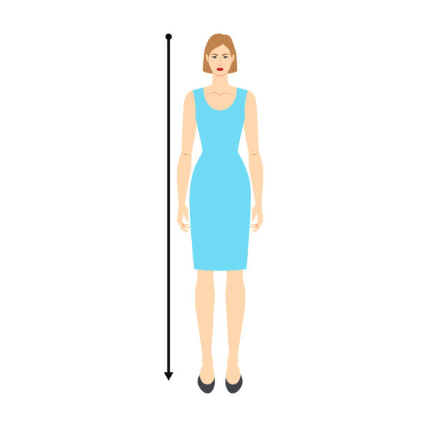kobiety do pomiaru wysokości ciała za pomocą strzałek moda ilustracja do tabeli rozmiarów. płaska postać kobieca z przodu 8 dziewczyna wielkości głowy w niebieskiej sukience. szablon infografiki ludzkiej pani dla ubrań - women the human body body hip stock illustrations