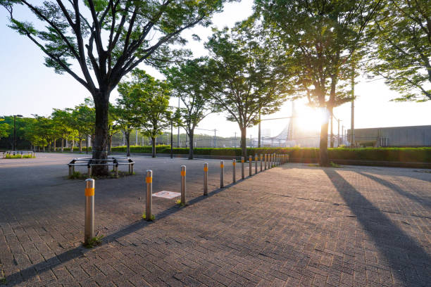 Yoyogi Park Zelkova trees on the day of the event (Shibuya-ku, Tokyo) Early morning on a sunny day in May 2023, Yoyogi Park zelkova trees on the event day in Shibuya Ward, Tokyo 運動する stock pictures, royalty-free photos & images