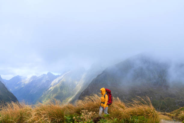 istock Woman hiker with backpack exploring wildrness. 1490918409