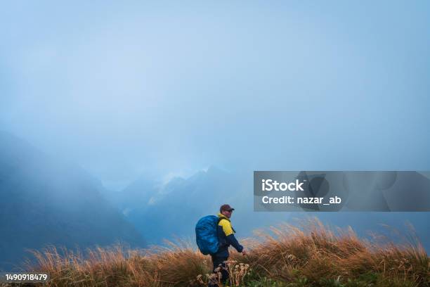 One Solo Man Hiker Hiking Through Mackinnon Pass Stock Photo - Download Image Now - Milford Track, 40-44 Years, Achievement