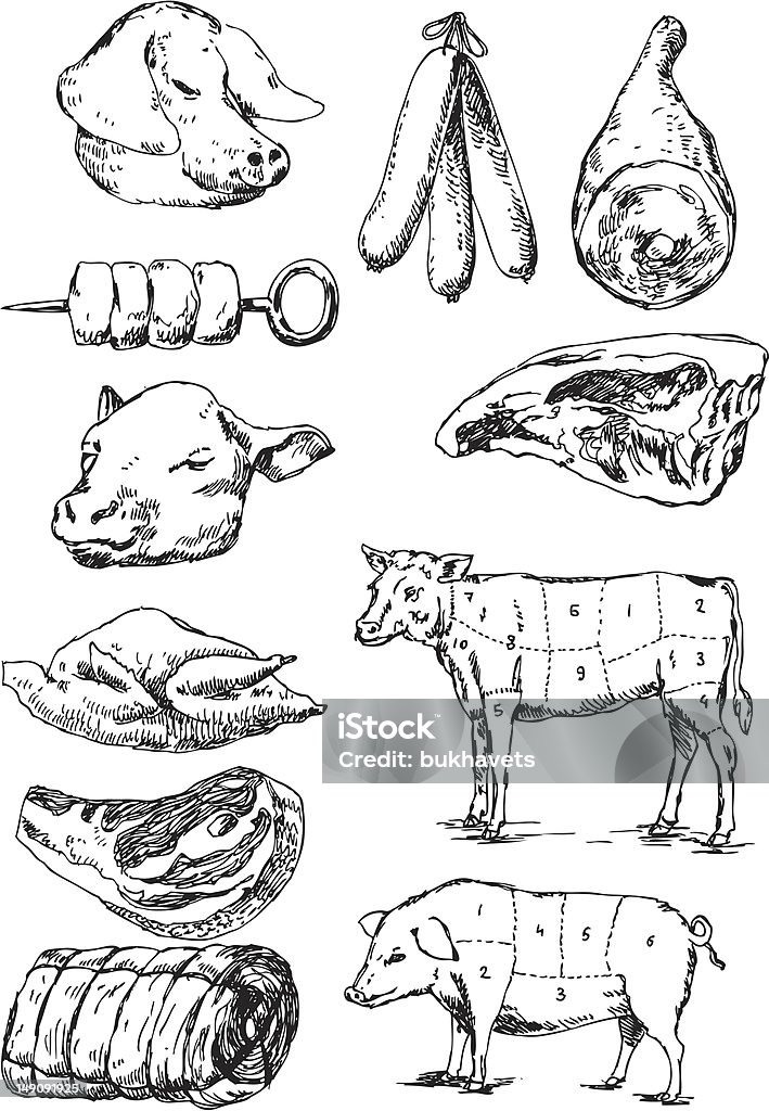 big vector set: carne - arte vectorial de Gallina - Ave de corral libre de derechos