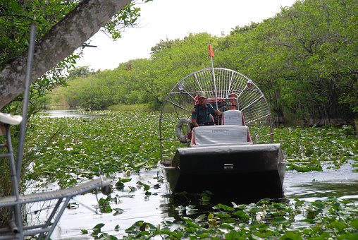 Everglades, FL, 03-21-2012\nairboat in the Everglades wetlands arriving over shallow water