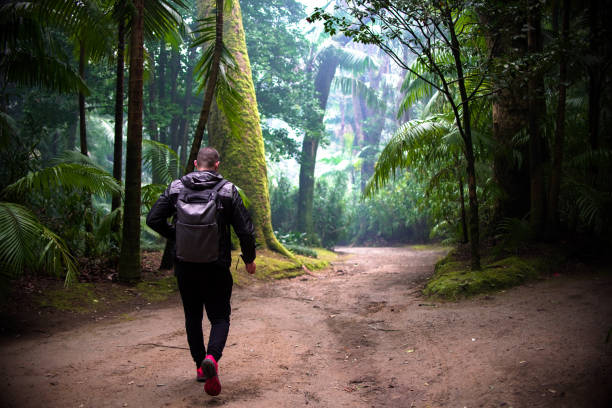 istock Sportsman walk path in mountains 1490924864