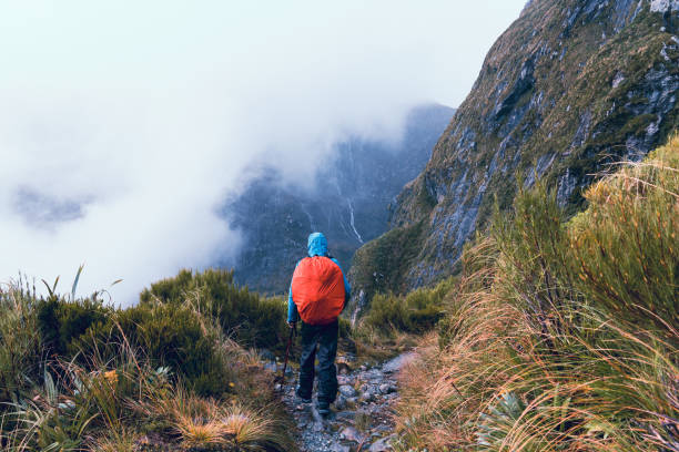 istock Hiking through Milford Track. 1490924913