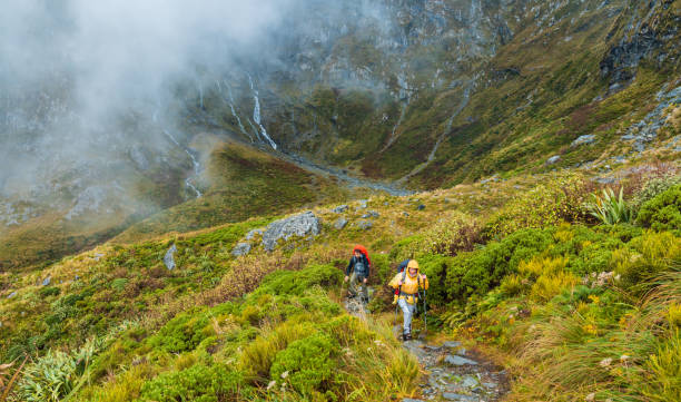 istock Adventurous people hiking outdoor. 1490925059