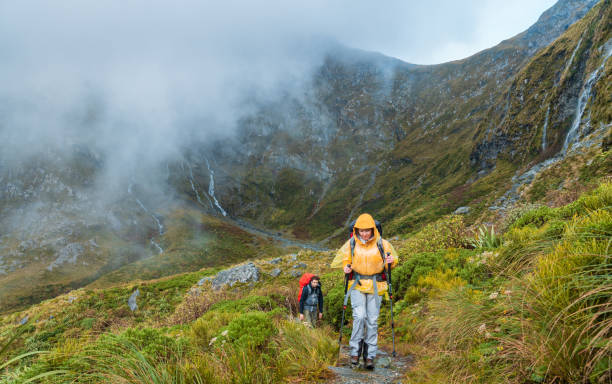 istock Hiking using hiking equipments, hiking poles. 1490925080