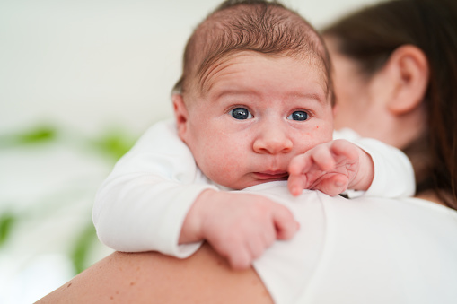 Portrait of a newborn baby boy