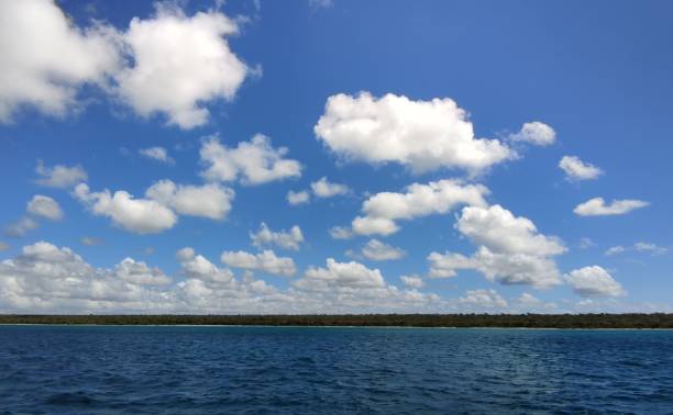 istock Caribbean clouds in sky of punta cana 1490928390