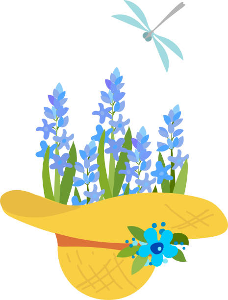 summer hat with flowers, blue hyacinths and dragonfly, Illustration on the theme of gardening summer hat with flowers, hyacinths and dragonfly, Illustration on the theme of gardening hyacinth stock illustrations