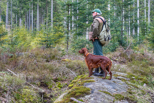To by together with his Irish Setter in the wilderness, is a great way for the senior hiker to enjoy nature and stay physically active, regardless of age.