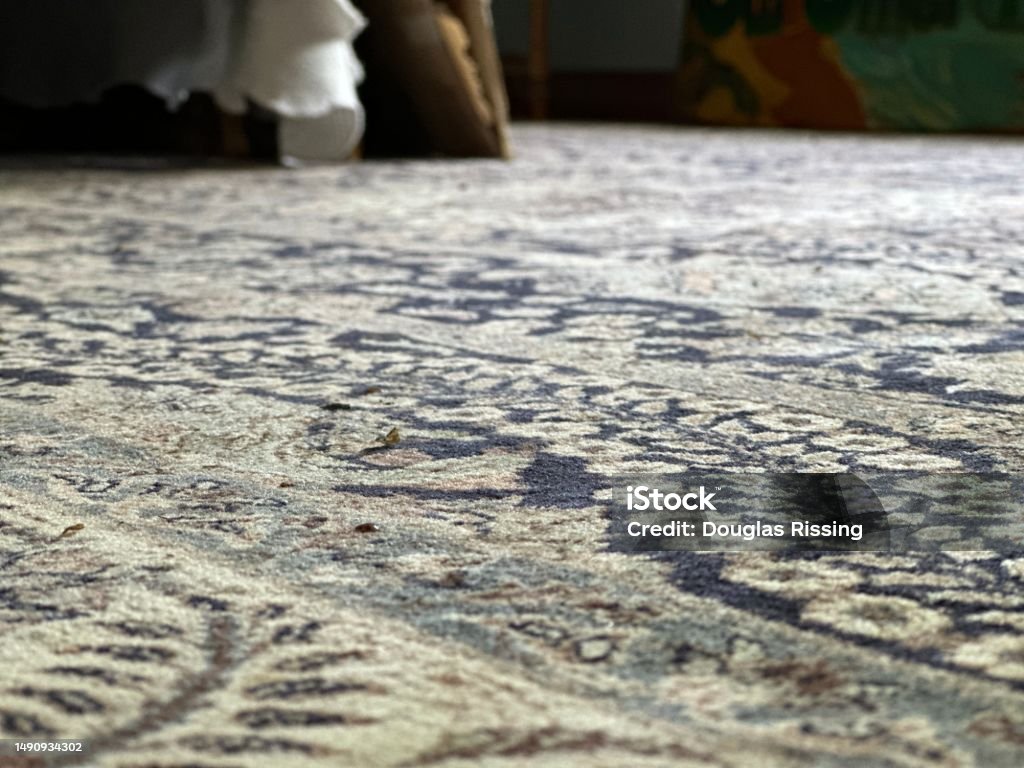 Oriental Rug Abstract Stock Photo