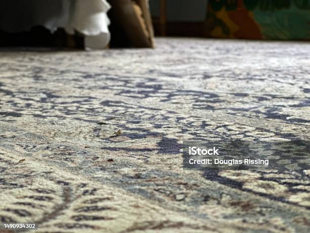 Oriental Rug Stock Photo - Download Image Now - Abstract, Antique, Art And Craft