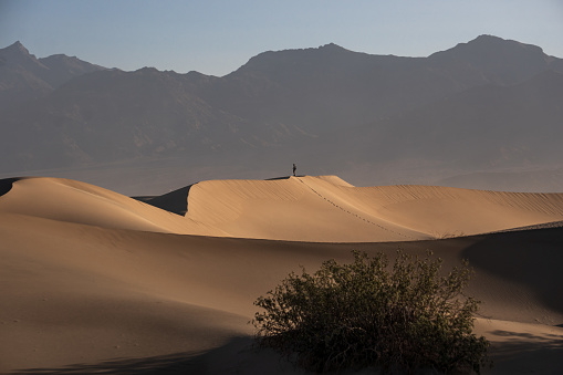 A Person On A Tall Sand Dune Stock Photo Download Image Now a-person-on-a-tall-sand-dune-stock-photo-download-image-now