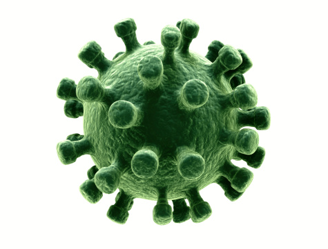 Virus aislados en blanco photo