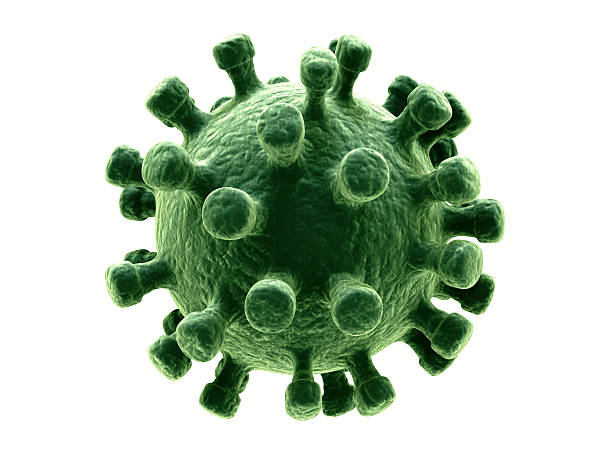 Virus isolated on white stock photo