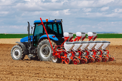 A tractor sows seeds in an agricultural field