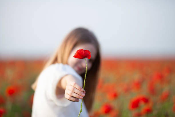 10代の女の子の手にケシの花の接写。 - field poppy single flower flower ストックフォトと画像