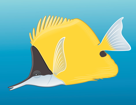 A Yellow Longnose Butterflyfish from the tropical sea. Aussi disponible / Also available in Illustrator CS2