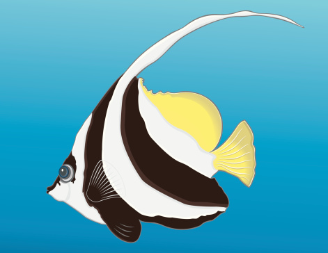 Bannerfish, fish from the tropical sea. Poisson-cocher de la mer tropicale. Aussi disponible / Also available in Illustrator CS2