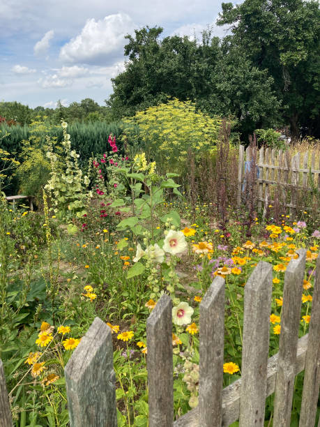 istock garden with summer flowers 1490949982