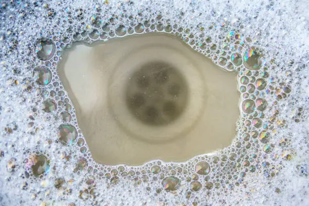 Photo of Kitchen sink does not drain, clogged!