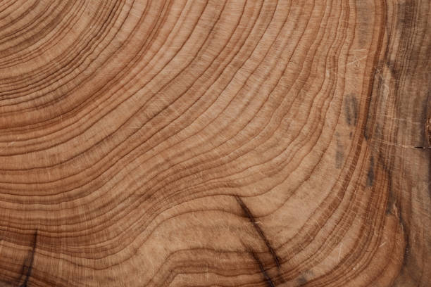istock Wooden texture. Wood pattern for design and decoration. 1490956972