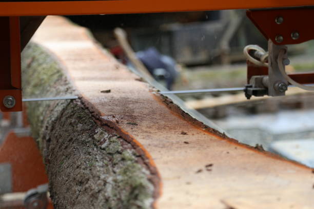 istock mobile sawmill in the wood industry 1490957471