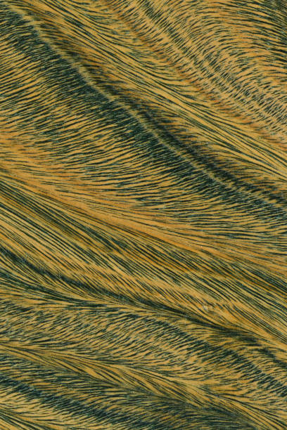 istock Green and brown PaloSanto wooden pattern. 1490959542