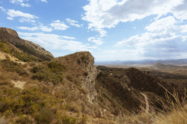 istock a stone wall with a yellow stone on a mountain grows green grass, a landscape with a place for an inscription. High quality photo 1490962192
