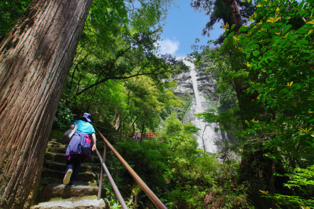 Wakayama, Japan - May 4, 2023: Nachi Falls in Nachikatsuura, Wakayama, Japan. This area is Yoshino Kumano National Park.\nIn 2004, it became a part of the World Heritage \
