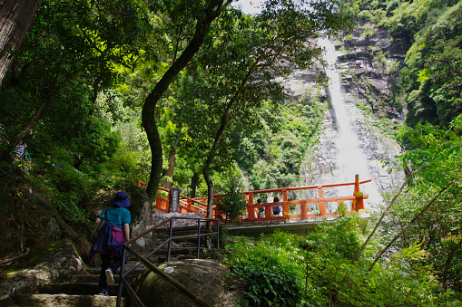 Wakayama, Japan - May 4, 2023: Nachi Falls in Nachikatsuura, Wakayama, Japan. This area is Yoshino Kumano National Park.\nIn 2004, it became a part of the World Heritage \