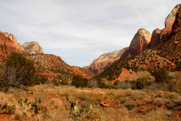istock Zion National Park 1490966153