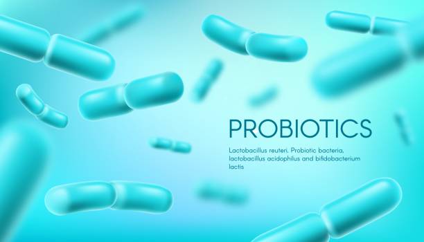 illustrazioni stock, clip art, cartoni animati e icone di tendenza di batteri probiotici, lactobacillus acidophilus - bacillus subtilis