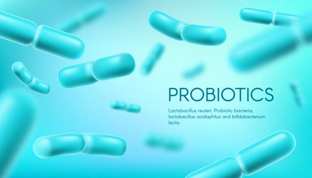 Probiotic bacteria, lactobacillus acidophilus Probiotic bacteria, lactobacillus acidophilus and bifidobacterium, vector background. Probiotic bacteria prebiotics, healthy microorganism bacterium for gut health and digestion with bifidobacterium bifidobacterium stock illustrations