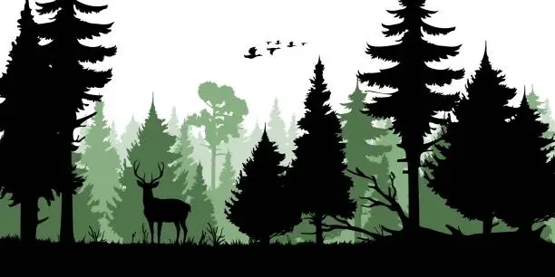 Vector illustration of Forest trees silhouettes, deer and duck, hunting