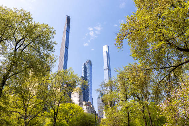 Manhattan skyscrapers in Central Park, New York City