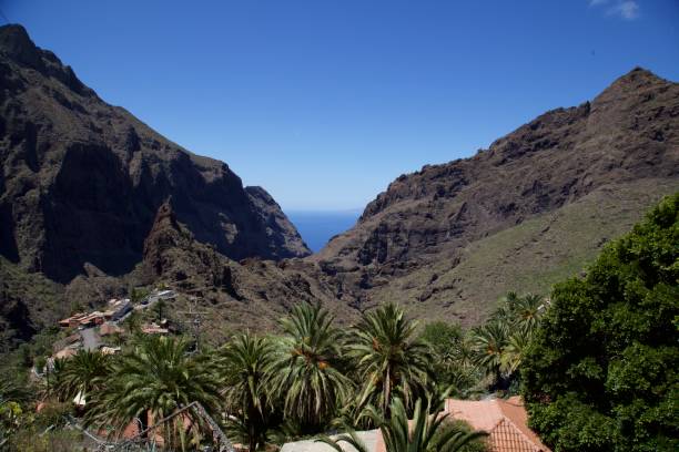 istock Teide Volcon & Tenerife Island 1490980417
