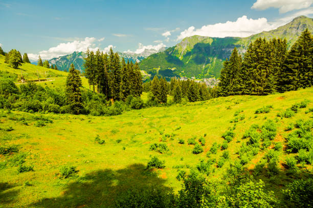 paisaje de montaña. lauterbrunnen. suiza. cantón de berna. pueblo de murren. verano. hierba verde - swiss culture chalet brienz european alps fotografías e imágenes de stock