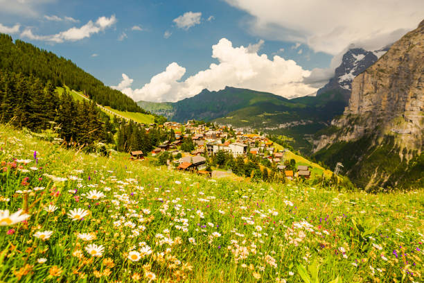 paesaggio montano. lauterbrunnen. svizzera. cantone di berna. villaggio di murren. estate. erba verde - swiss culture chalet brienz european alps foto e immagini stock