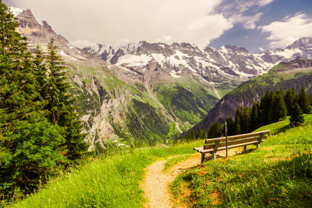 paesaggio montano. lauterbrunnen. svizzera. cantone di berna. villaggio di murren. estate. erba verde - swiss culture chalet brienz european alps foto e immagini stock