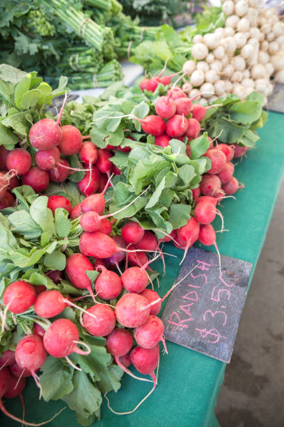 istock Radishes and turnips at the market 1490989293