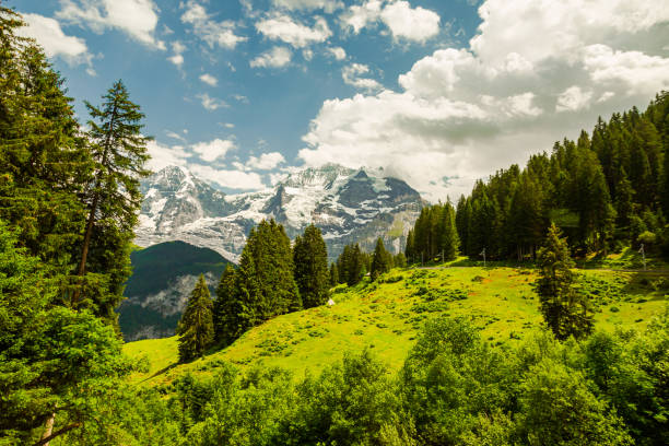 paesaggio montano. lauterbrunnen. svizzera. cantone di berna. villaggio di murren. estate. erba verde - swiss culture chalet brienz european alps foto e immagini stock