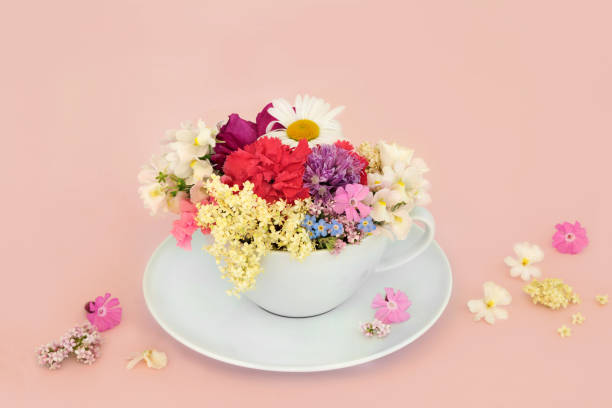 istock Surreal Summer Flowers Teacup Fun Design 1490992962