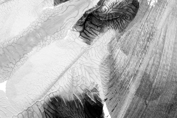 istock black white abstract acrylic painting color texture on white paper background by using rorschach inkblot method 1490993383