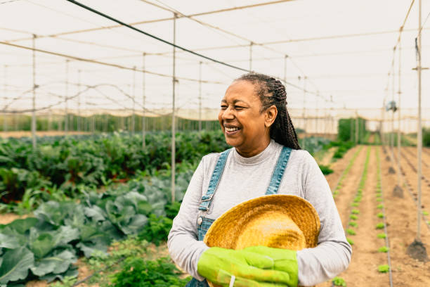 Happy African farmer working inside agricultural greenhouse - Farm people lifestyle concept stock photo