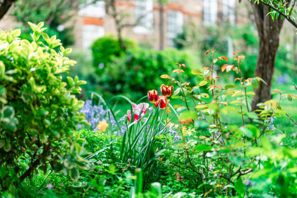 Formal Garden in London, UK