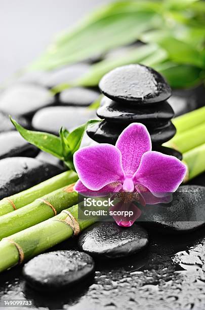 Foto de Spa e mais fotos de stock de Bambu - Bambu, Flor, Zen